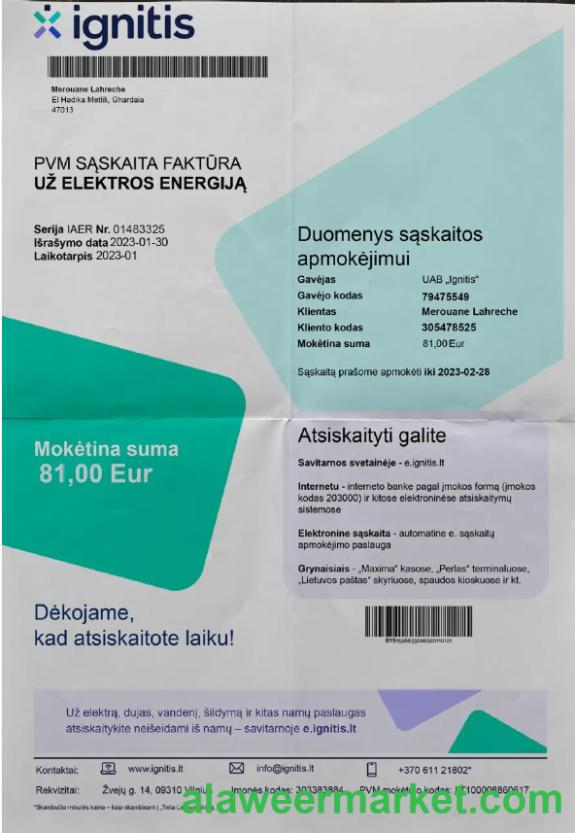 LITVA IGNITIS utility bill Word and PDF template